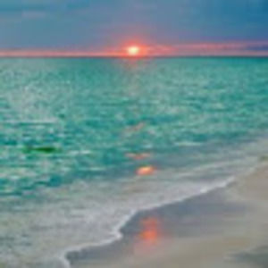 Meet your Posher, Leshelle